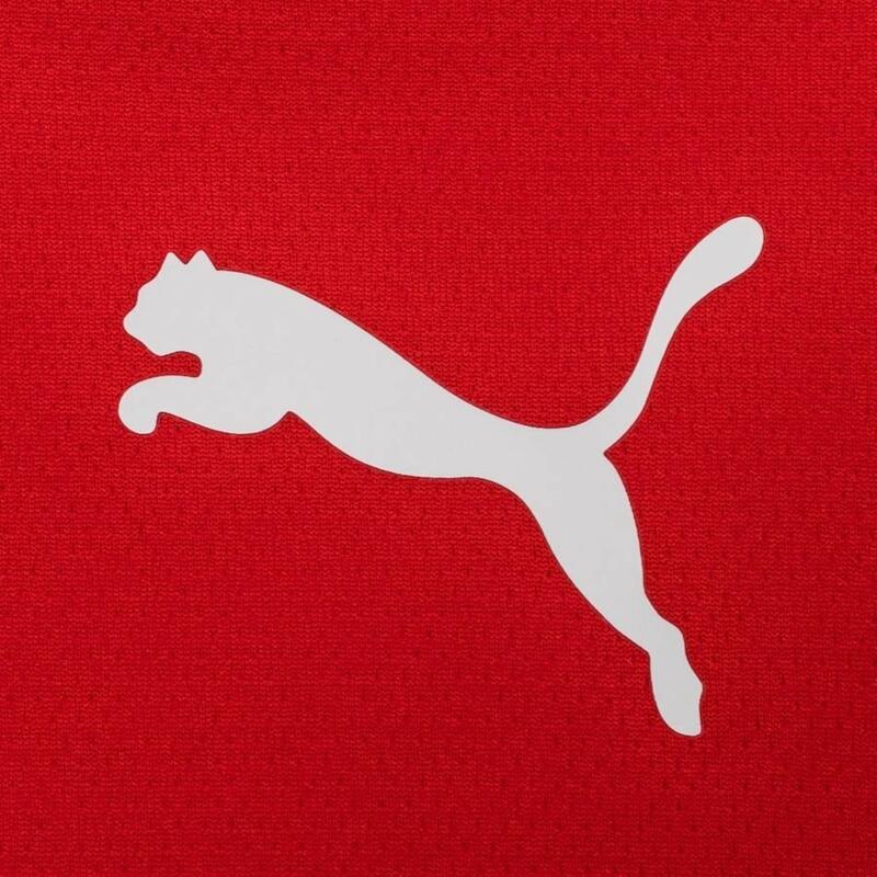 T-Shirt Puma Teamrise Jersey Rosso Adulto