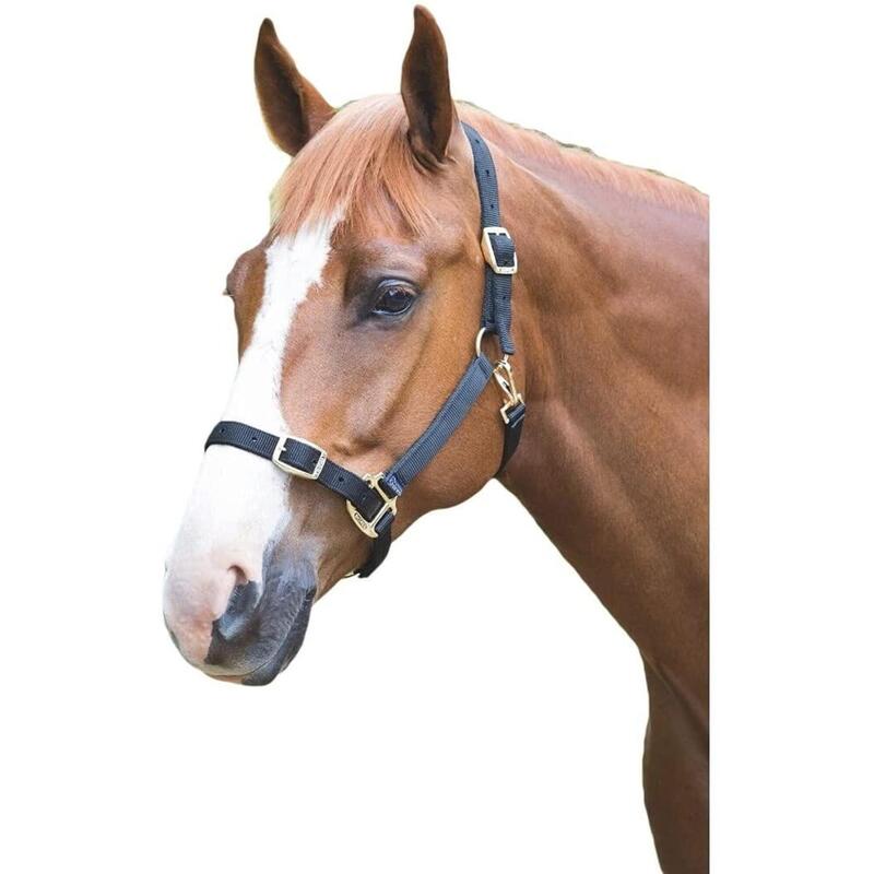 Licol en nylon pour Poney - Shires