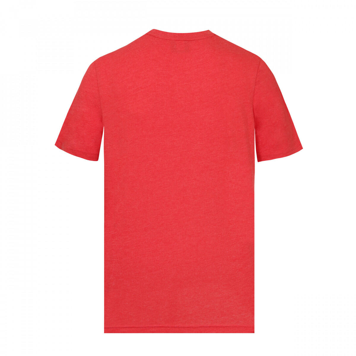 T-shirt Basic Manches Courtes 5/5
