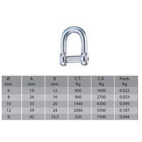 Manille axe 6 pans creux droite - WICHARD