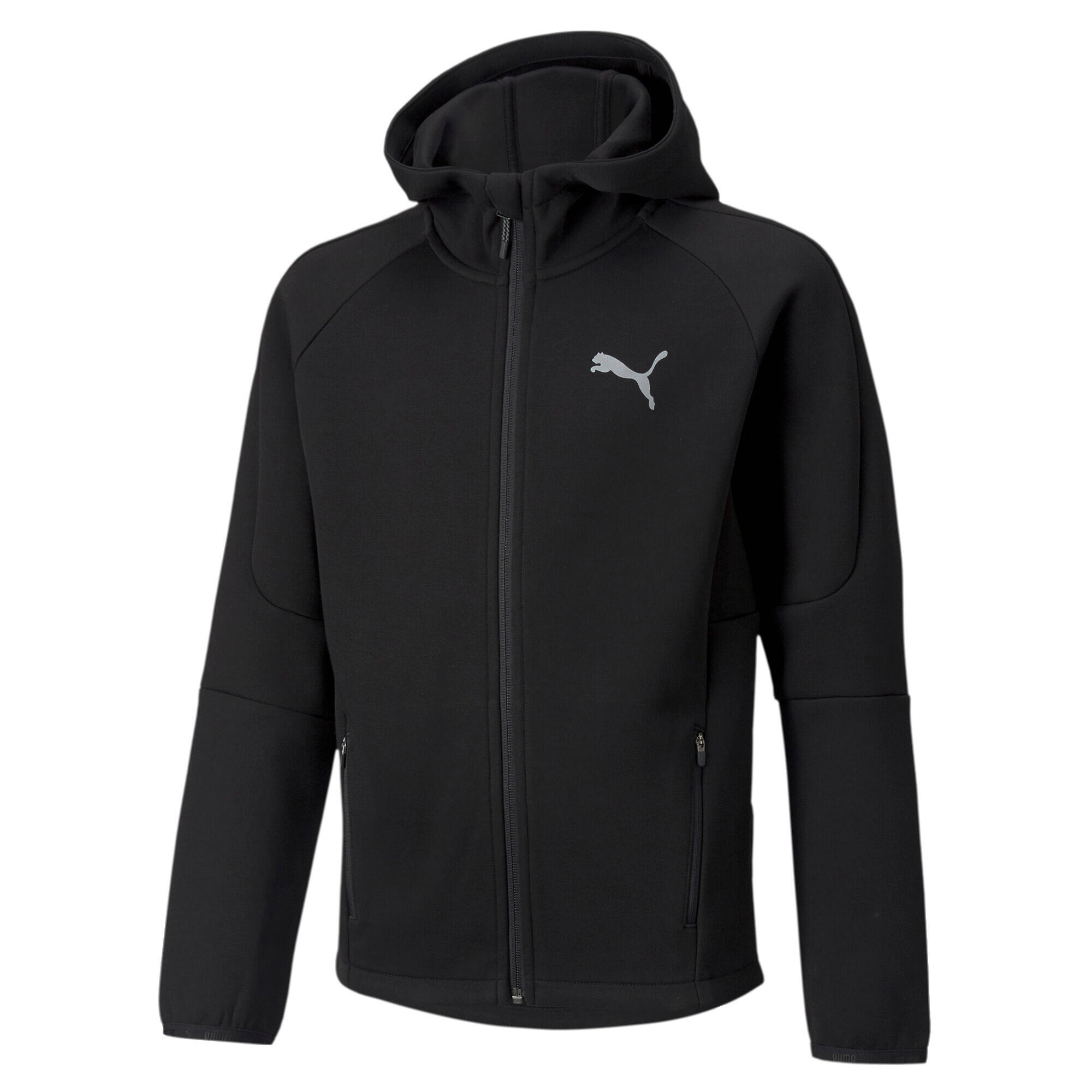 PUMA picture