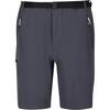 Heren Xert III Stretch Shorts (Afdichting Grijs)