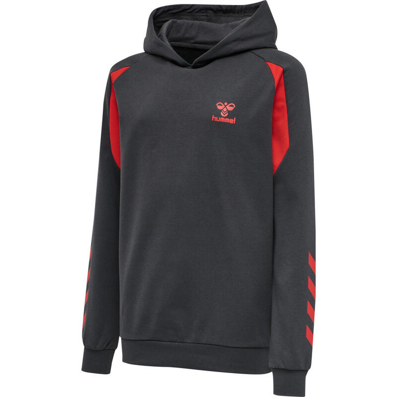 Sweatshirt à capuche enfant Hummel hmlaction