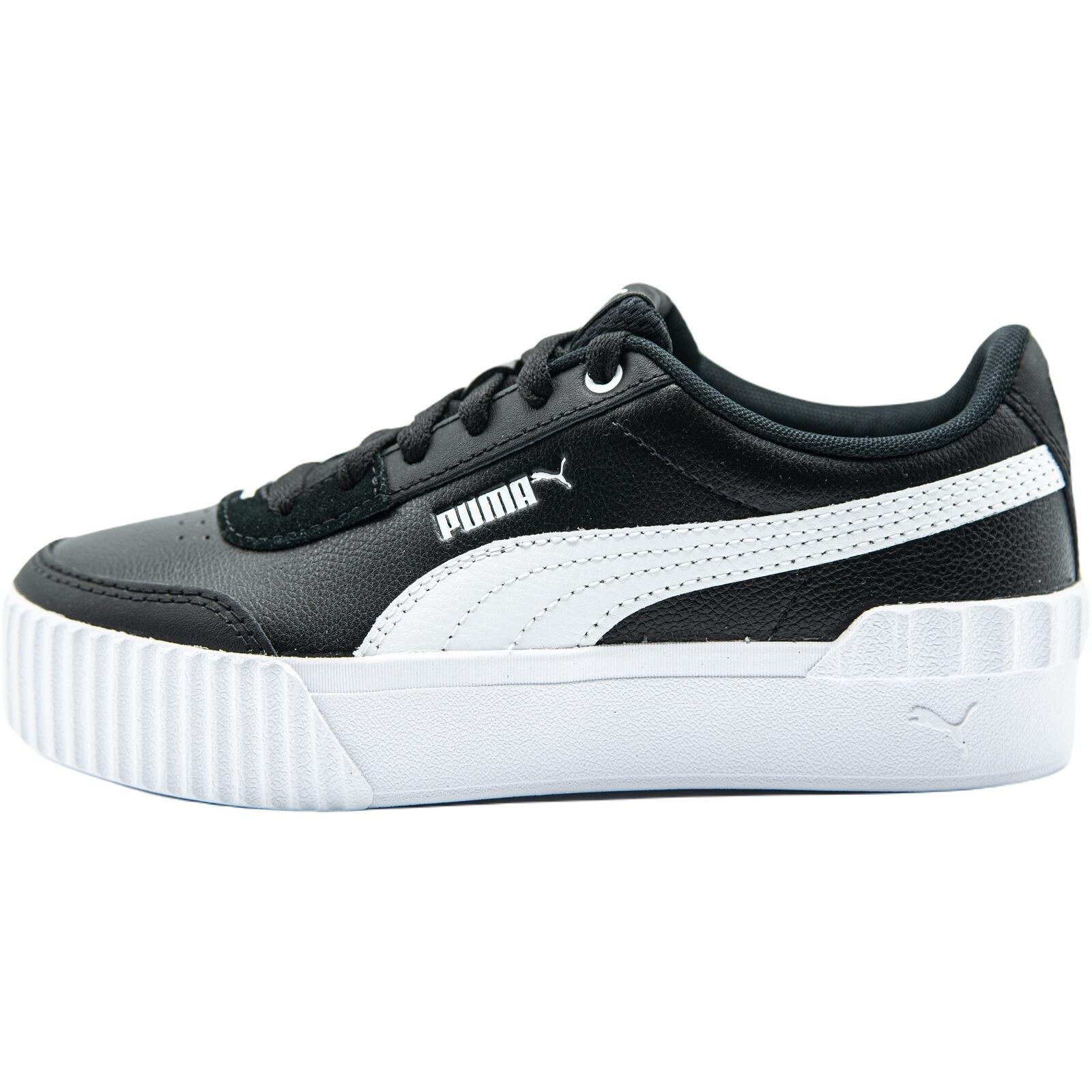 PUMA picture
