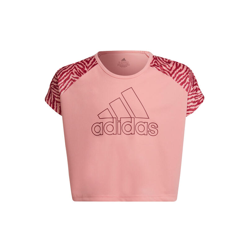 T-shirt fille adidas Designed 2 Move Seasonal