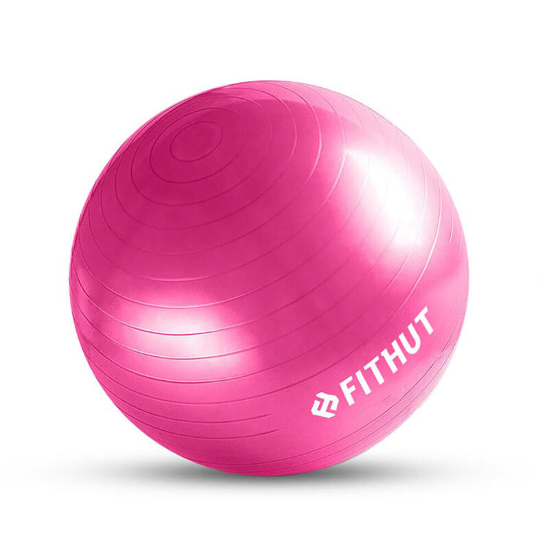 FITHUT Gym Ball Kit