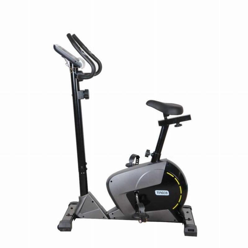 Вicicleta magnetica E439S