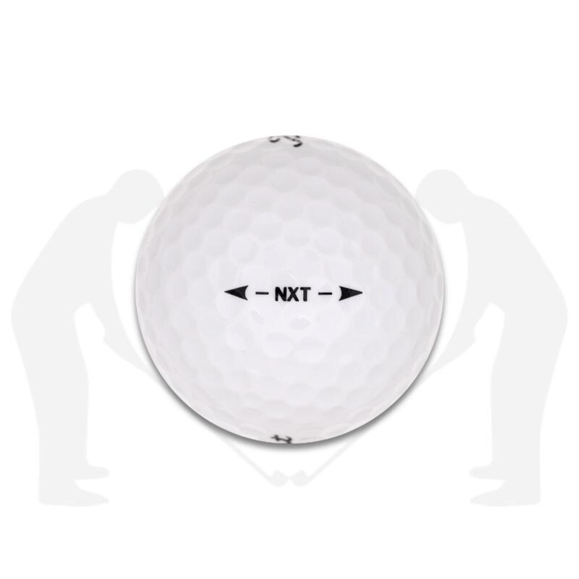 Golfballen kopen online ← Decathlon.nl Titleist | Lakeballs
