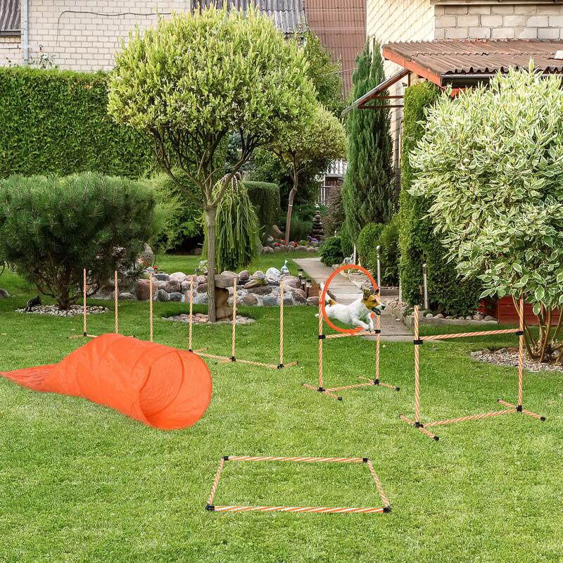 PawHut Attrezzi Agility Dog Set Completo 5PZ Percorso Agility Arancione