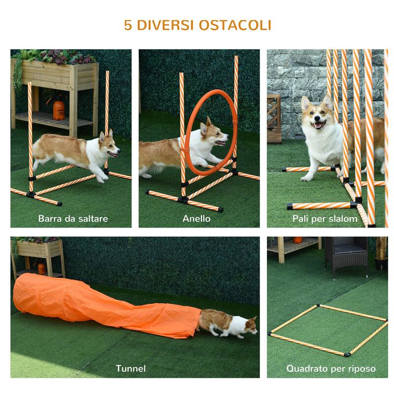 PawHut Attrezzi Agility Dog Set Completo 5PZ Percorso Agility Arancione