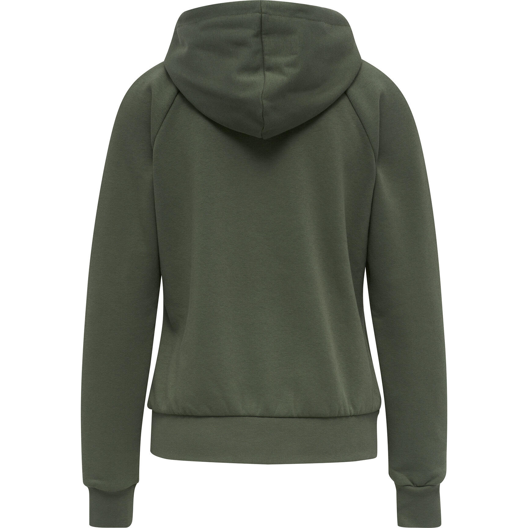 Hooded sweatshirt Hummel hmlnoni