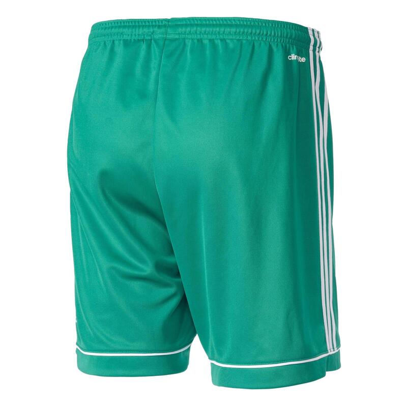 Short Adidas Squad 17 Adulte