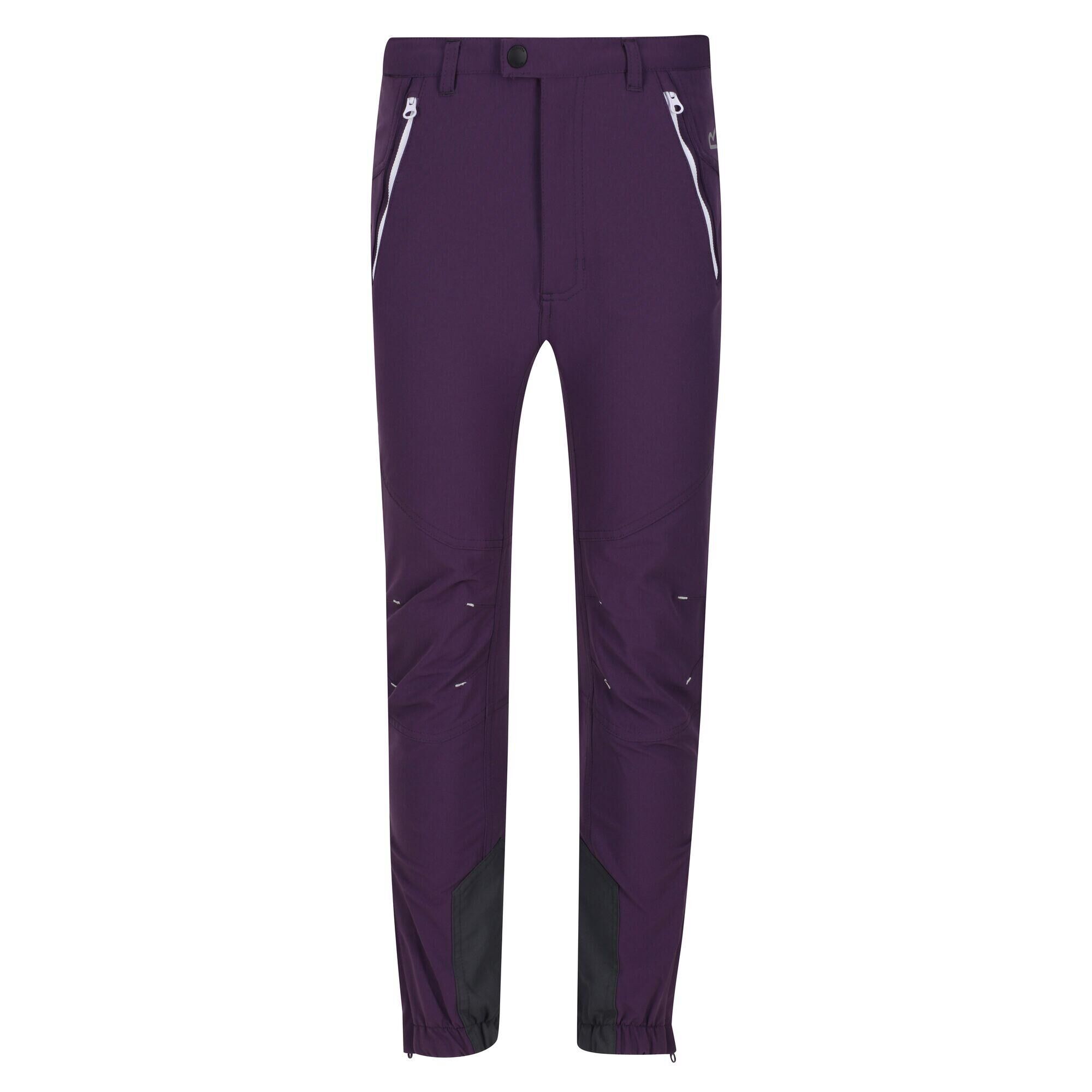 REGATTA Childrens/Kids Tech Mountain Hiking Trousers (Dark Aubergine)