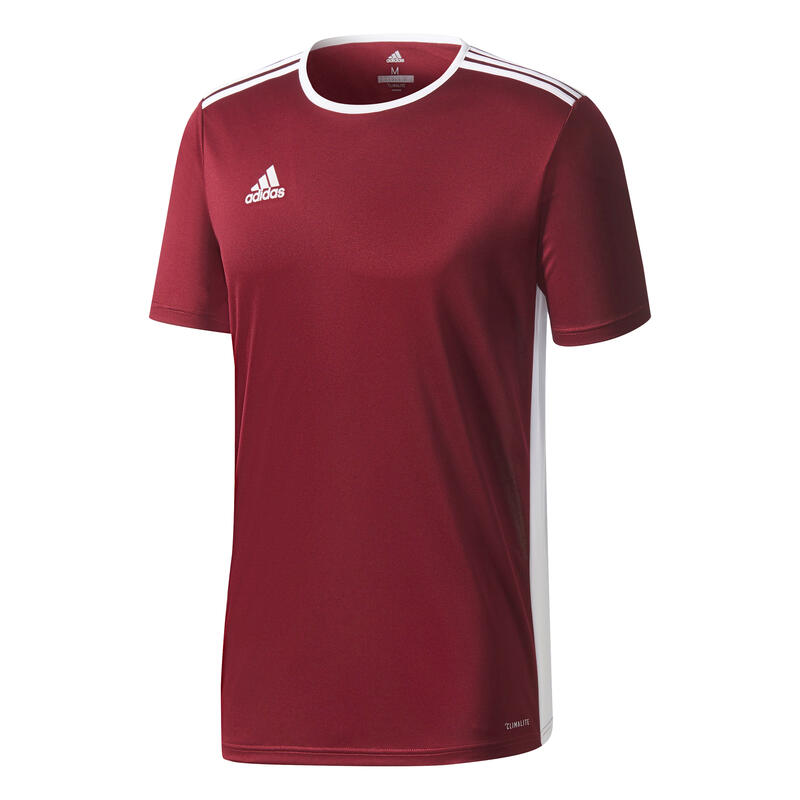 Jersey adidas Entrada 18