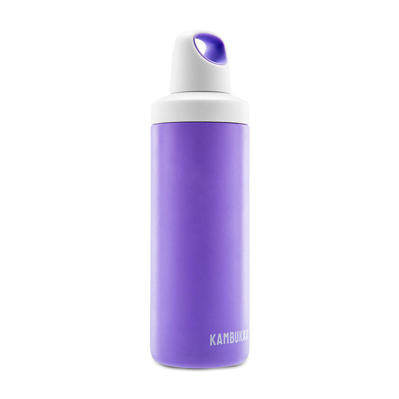 維納雙層不銹鋼運動杯 (不銹鋼) 17oz (500ml) - 紫蘭花色