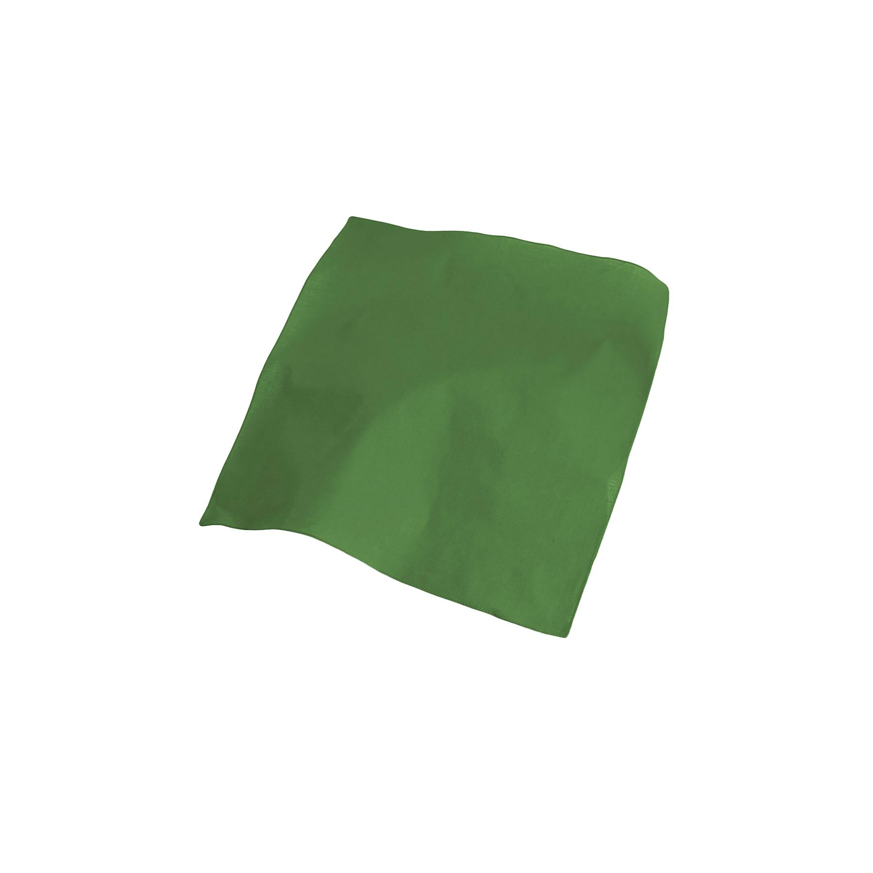 Bandana GOAL (verde)