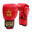 Gants de boxe X-Perience