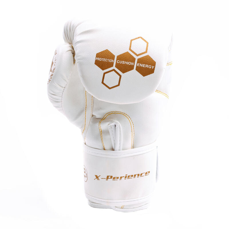 Gants de boxe X-Perience