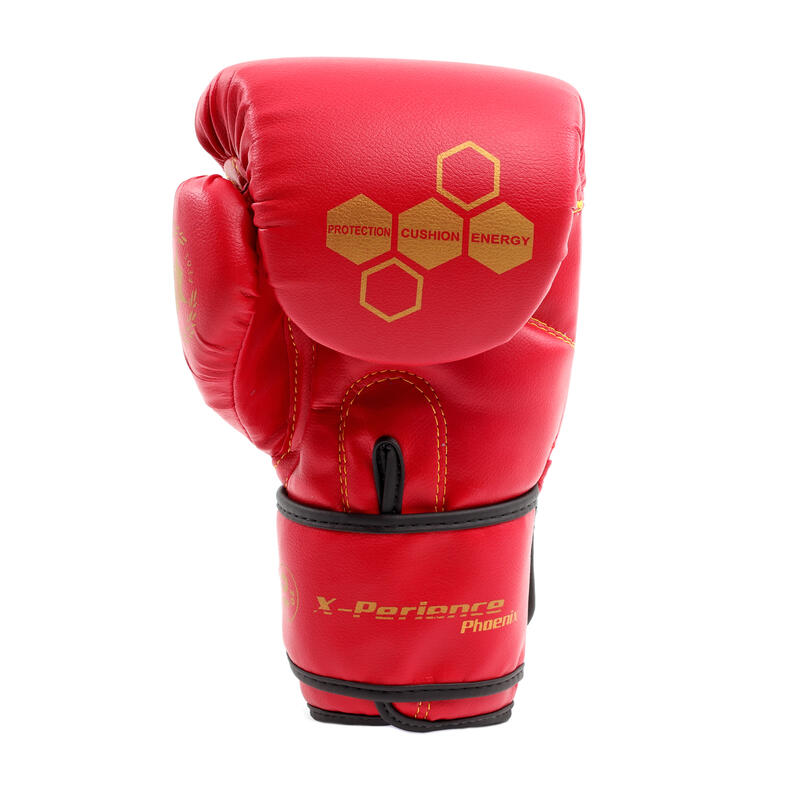 Gants de boxe X-Perience