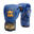 Gants de boxe X-Perience