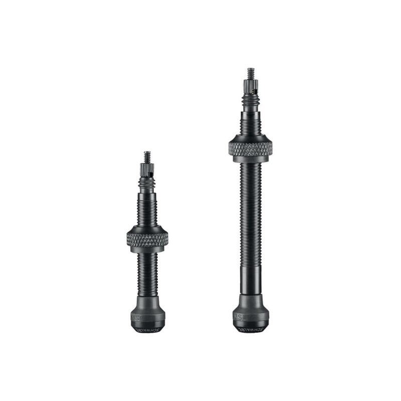 Lot de deux valves Tubeless coniques - DECATHLON El Djazair