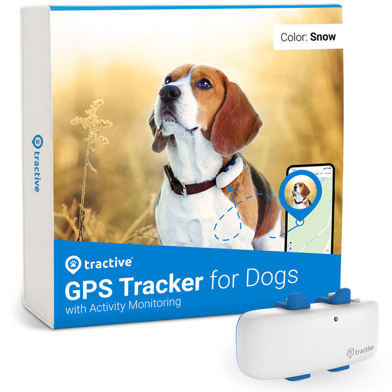Localizador para perros con Seguimiento de Actividad Tractive GPS DOG 4 Blanco