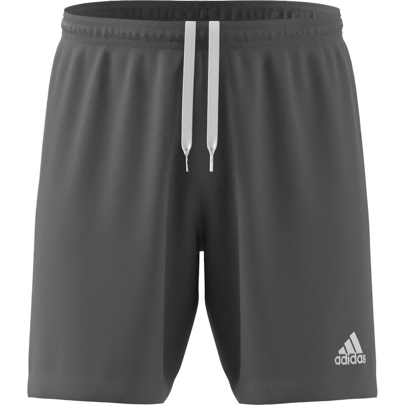 Short adidas Entrada 22