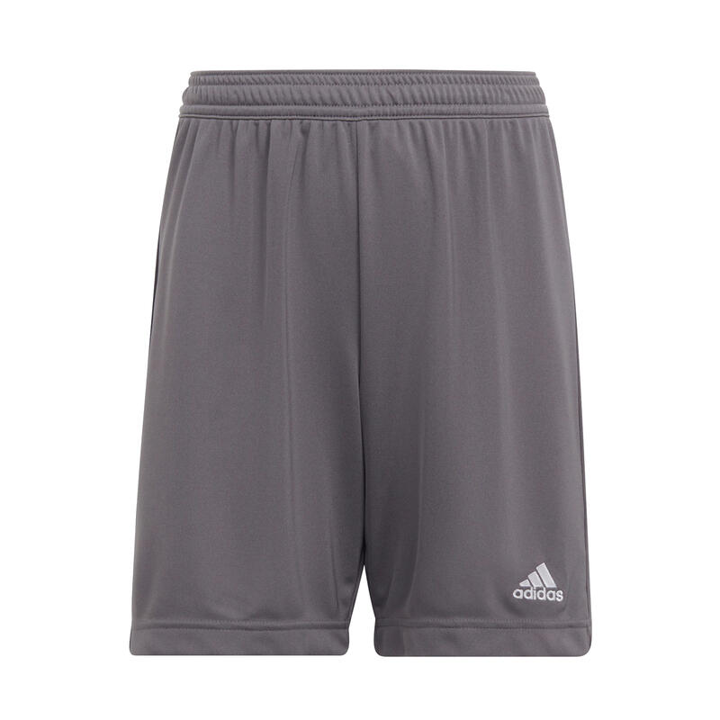 Short football - Entrada 22 gris