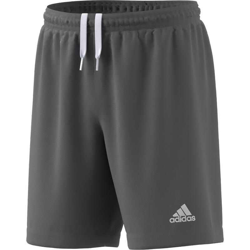 Short football - Entrada 22 gris