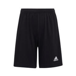 Shorts Adidas Sport Ent22 Sho Y Zwart Kind
