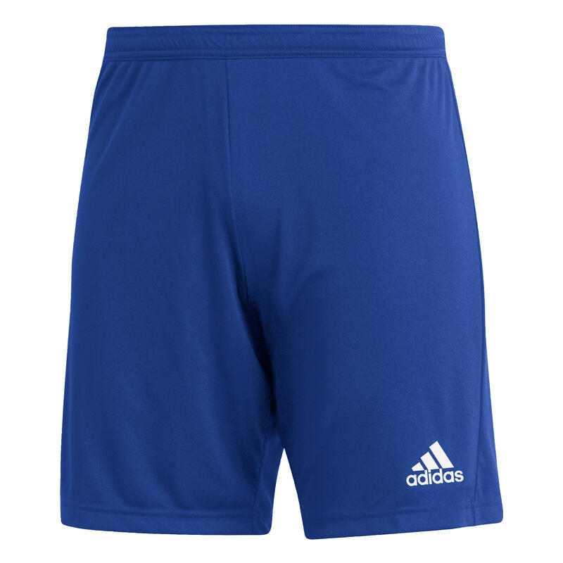 Shorts Adidas Sport Ent22 Sho Royblu Volwassenen
