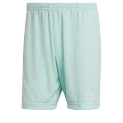 Short adidas Entrada 22