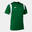 Maillot manches courtes Homme Joma Dinamo vert