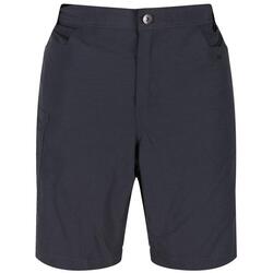 Heren Delgado Shorts (Afdichting Grijs)