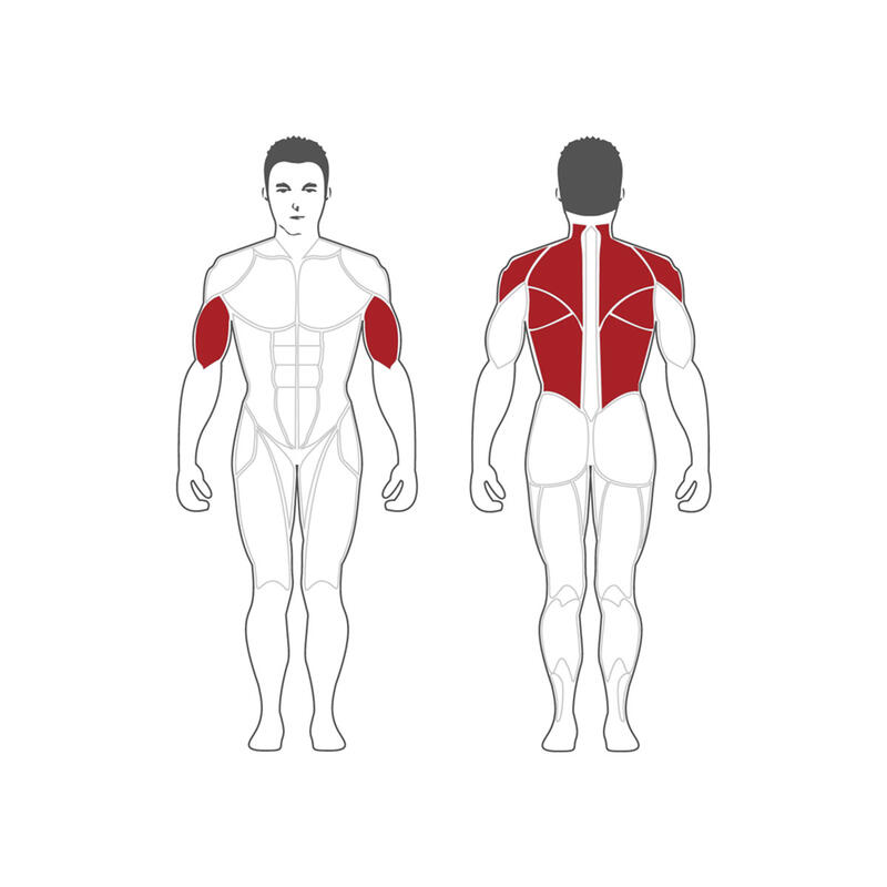 Appareil pour le muscle grand dorsal / rowing assis - Steelflex PL2200