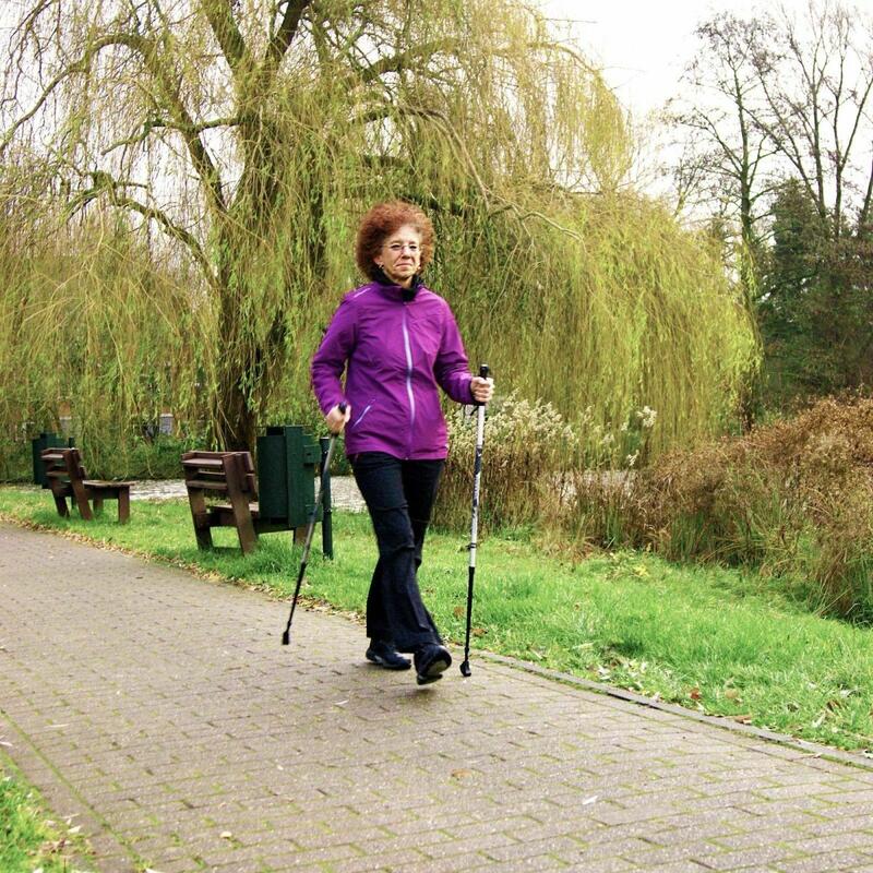 Kije do nordic walking Best Sporting  2-sekwencyjne