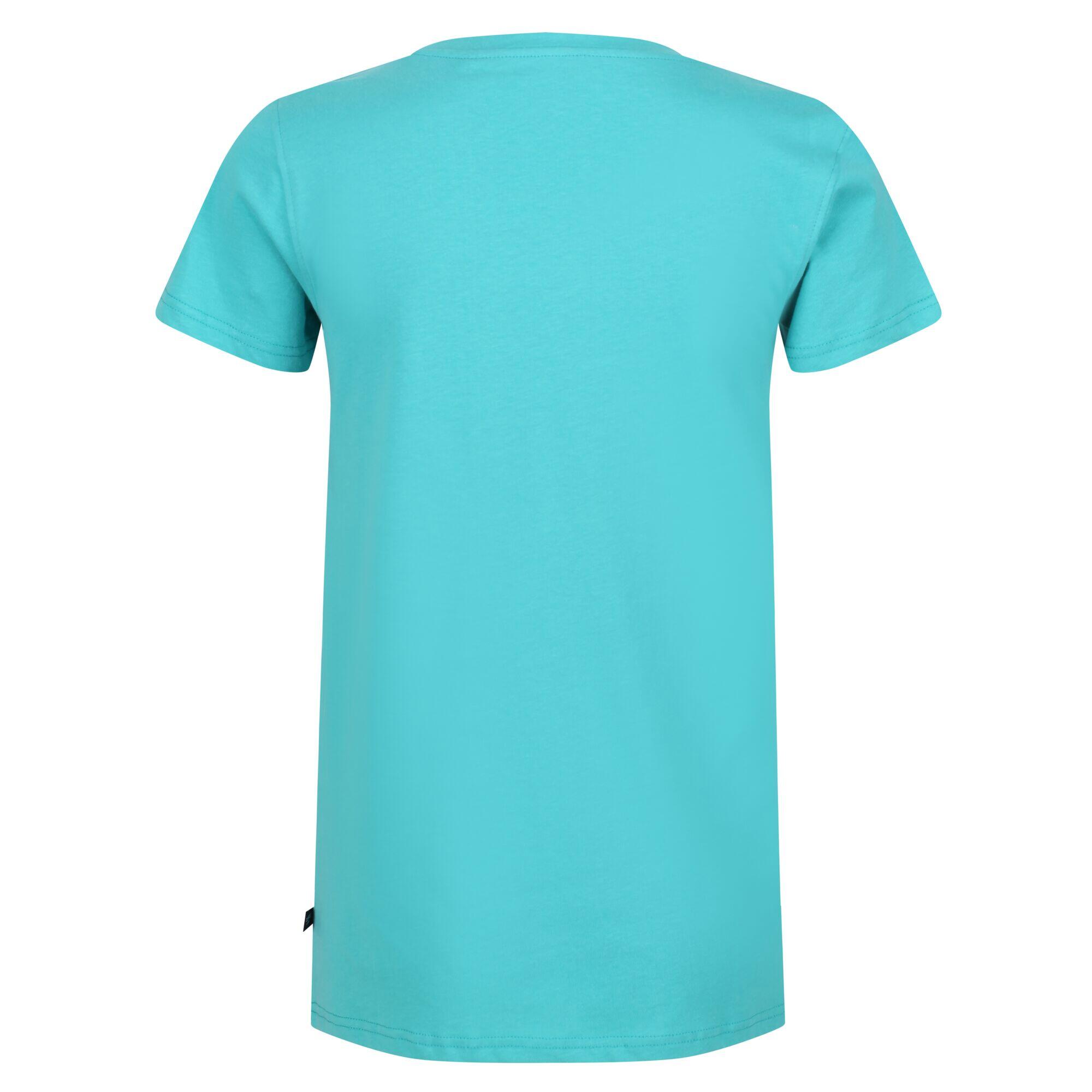 Womens/Ladies Filandra VI Stripe TShirt (Turquoise) 2/5