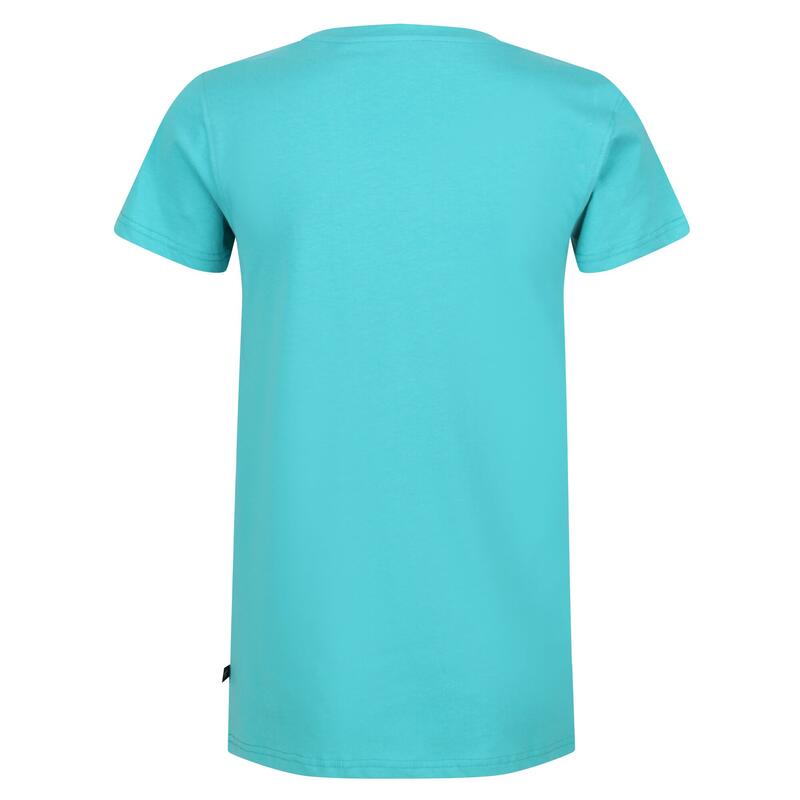 Dames Filandra VI Gestreept Tshirt (Turquoise)