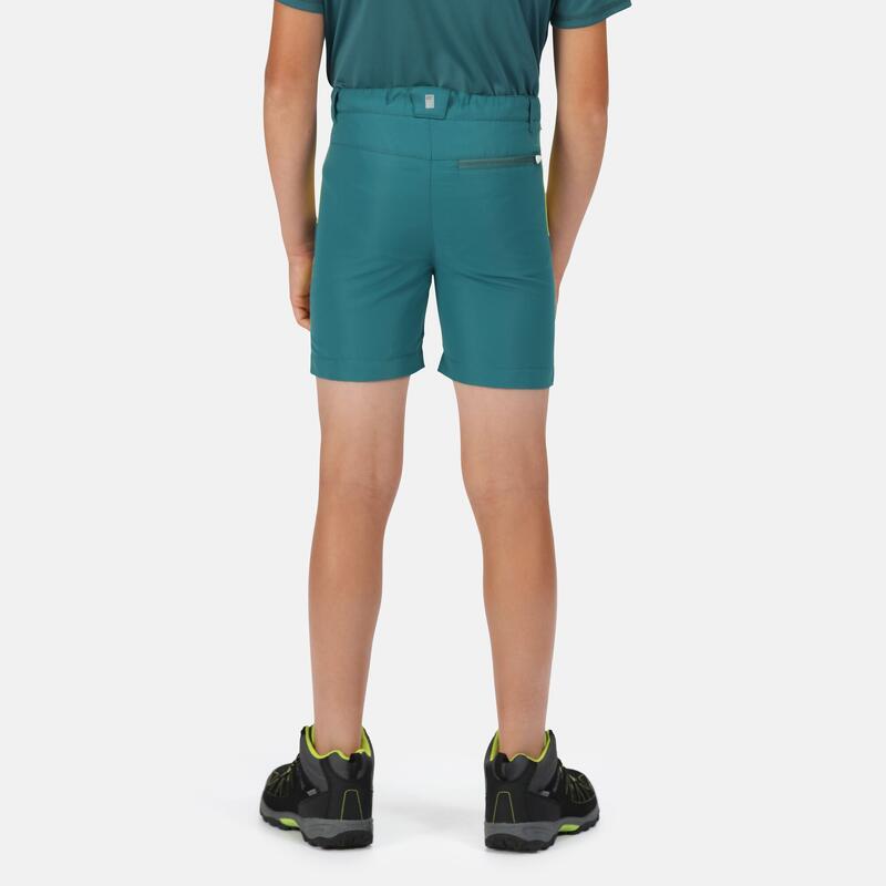 Sorcer Mountain II Wandershorts für Kinder - Grün