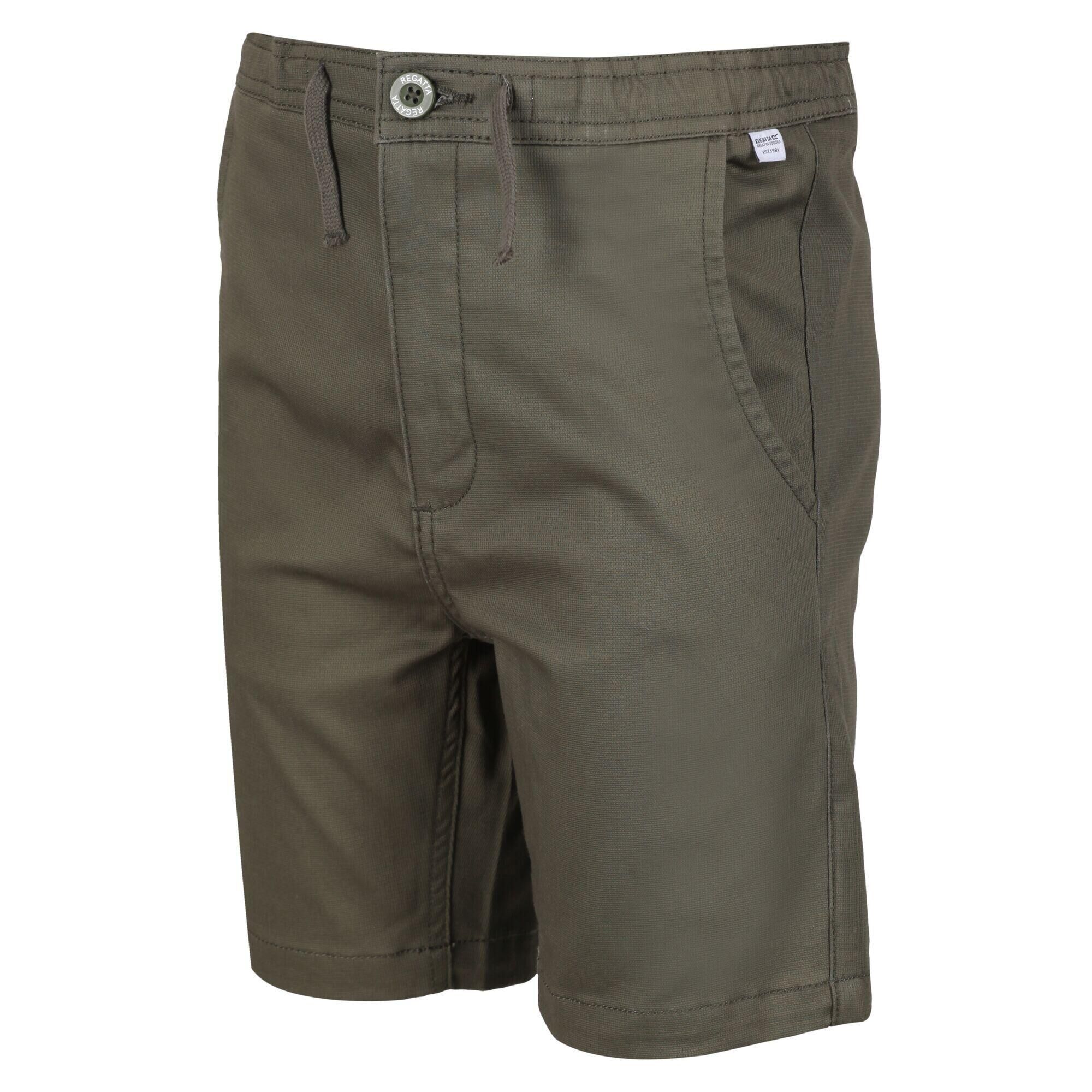 REGATTA Alber Kids Walking Shorts - Grape Leaf Brown