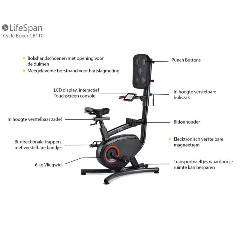 LifeSpan Fitness CB110 Cycleboxer Exercise Bike Box Trainer