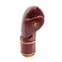 Montana X-Fight boxing gloves