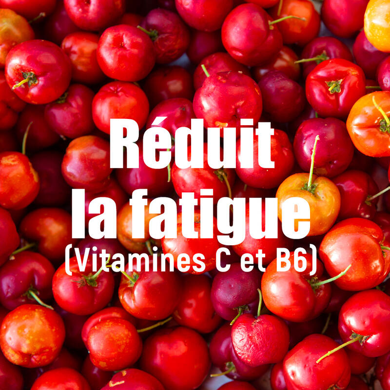 Boisson Recharge énergétique - Malto Antioxydant Fruits rouges - 450g