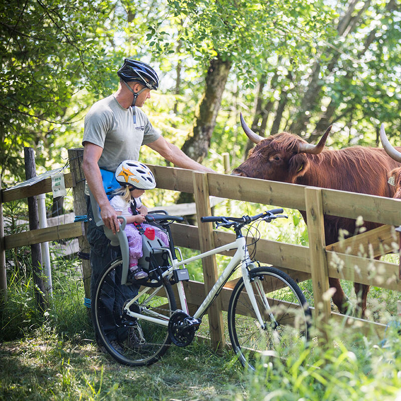 Siège vélo best sale hamax decathlon