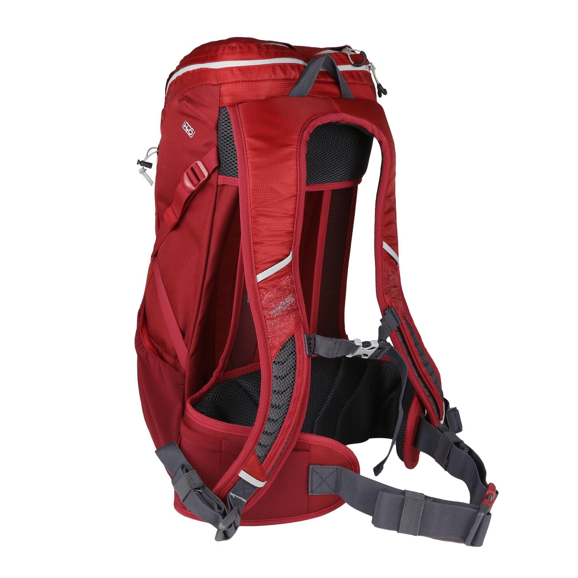 Blackfell III 25L Rucksack (Delhi Red/Light Steel) 1/5