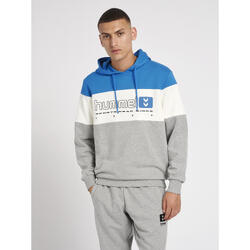 Hooded sweatshirt Hummel hmlLGC musa