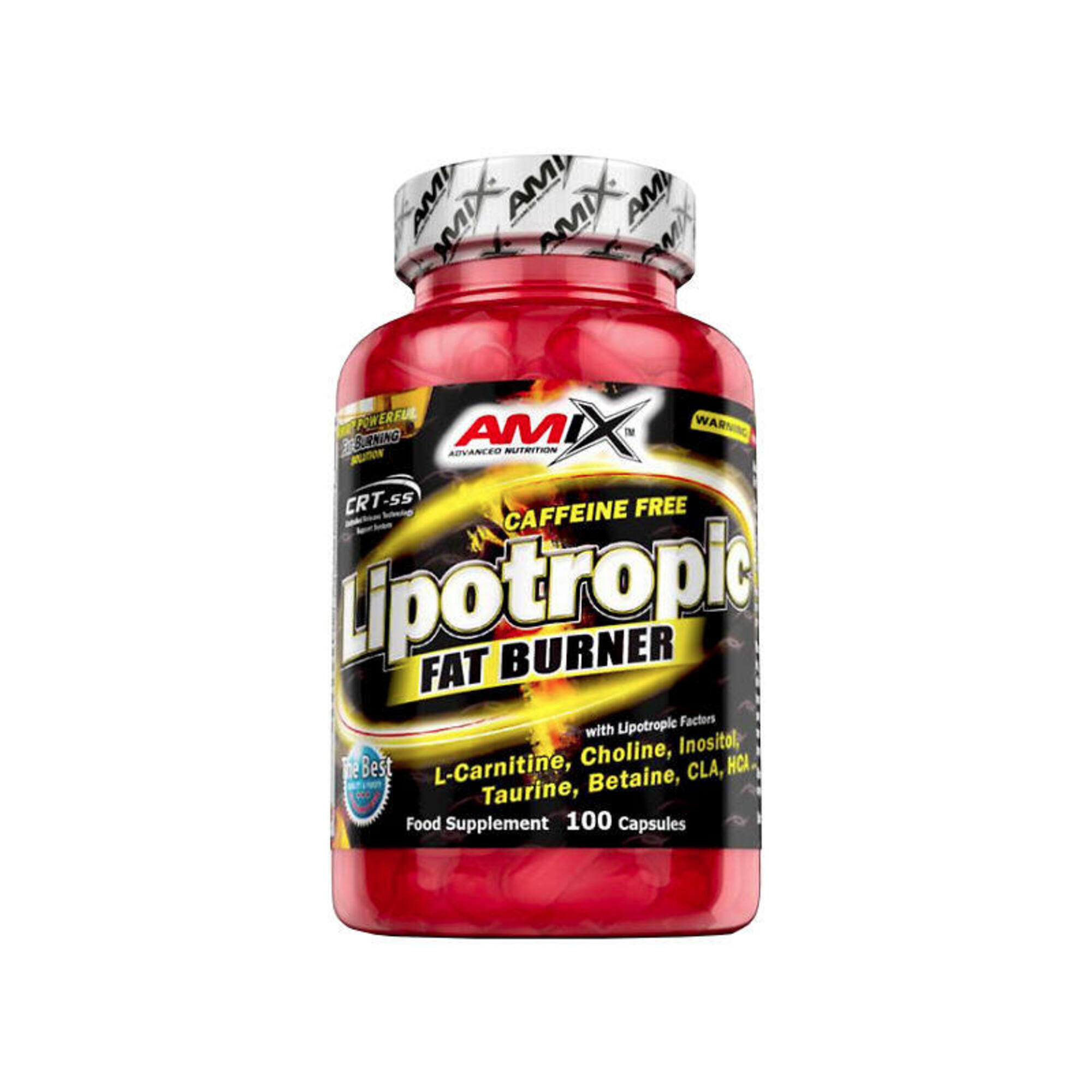 Lipotropic Fat Burner AMIX 100 kaps
