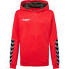 Enfiler Poly Kapuzenpullover Hmlauthentic Multisport Enfant HUMMEL