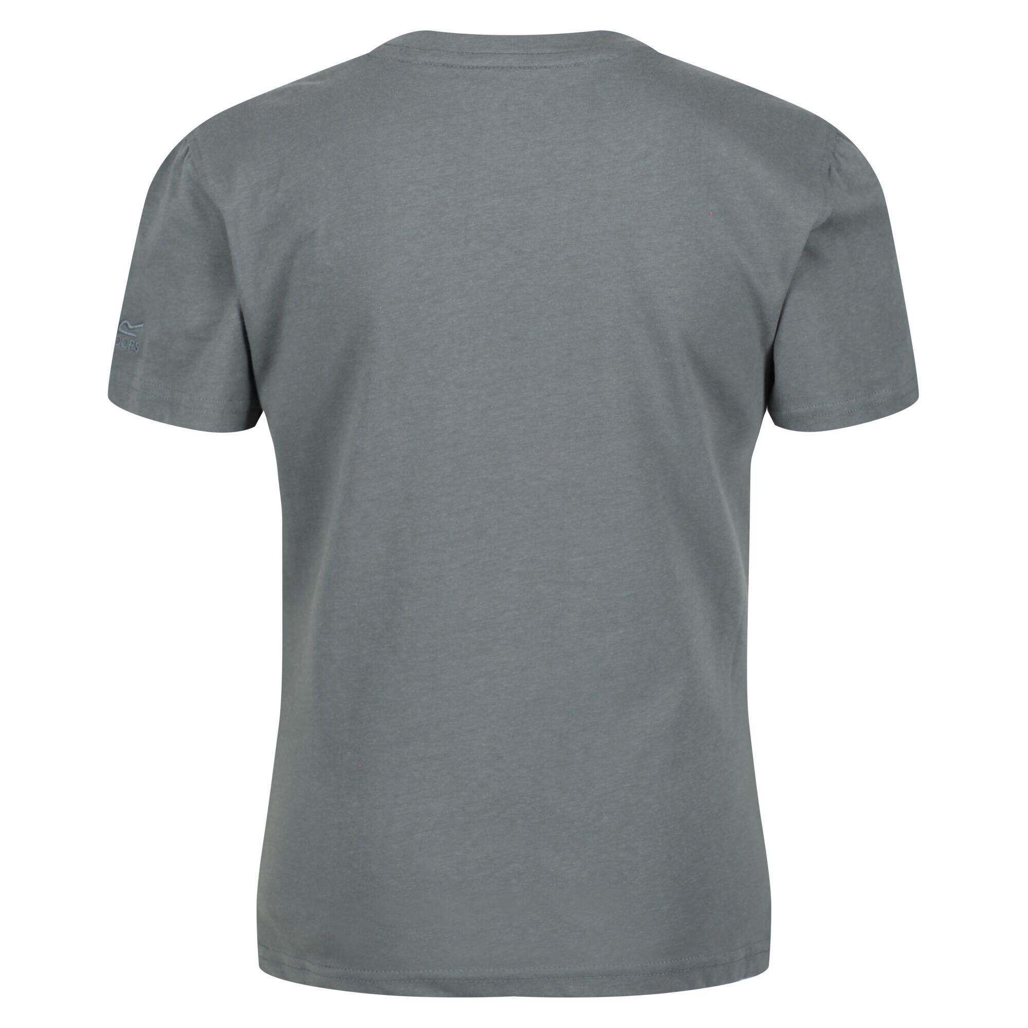 Tshirt BOSLEY Child (Grey green)