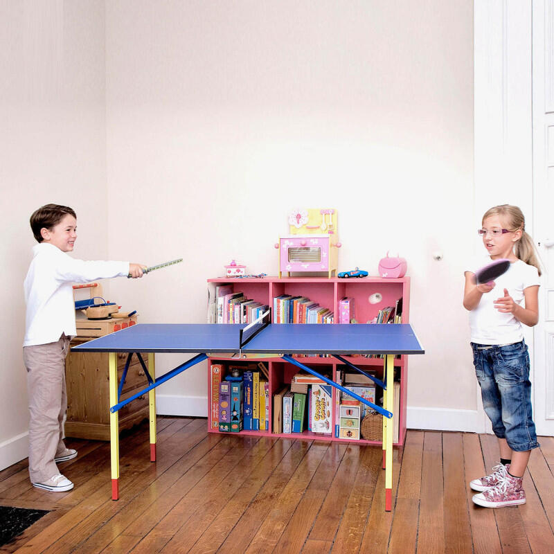 Table de Ping Pong hobby